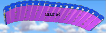 MERIT 190
