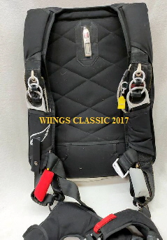 WIINGS CLASSIC 2017